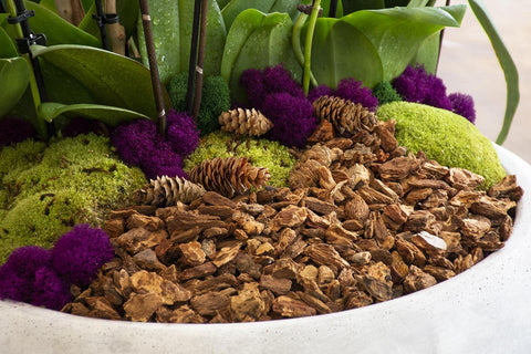 SuperMoss corteza usada en centro de mesa mejorando apariencia natural