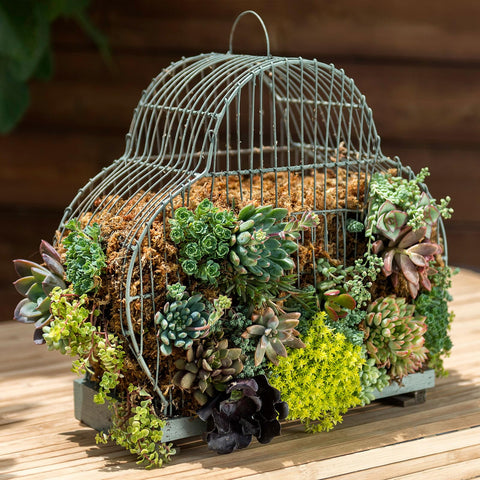 Cesta colgante forrada con SuperMoss conservando humedad y aspecto natural