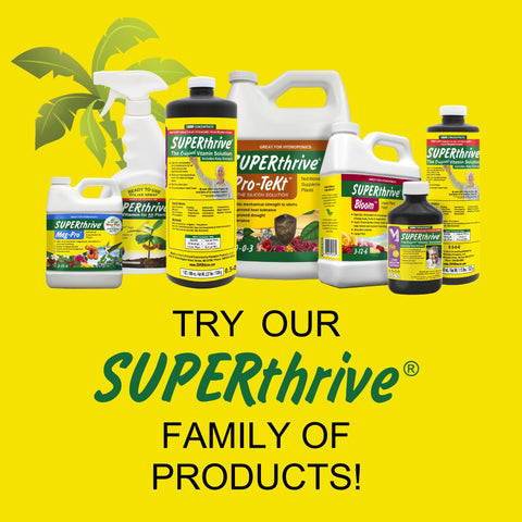 SUPERthrive en un entorno de jardinería con herramientas, uso profesional