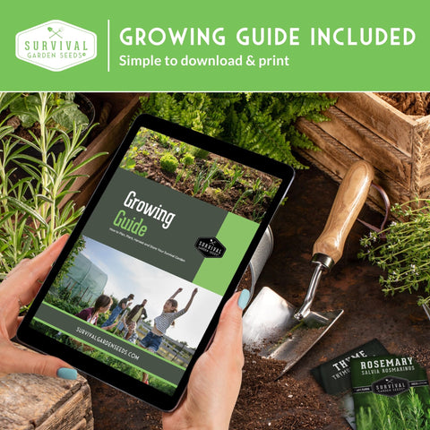 SURVIVAL GARDEN SEEDS comparación de escala con bandeja doméstica compacta