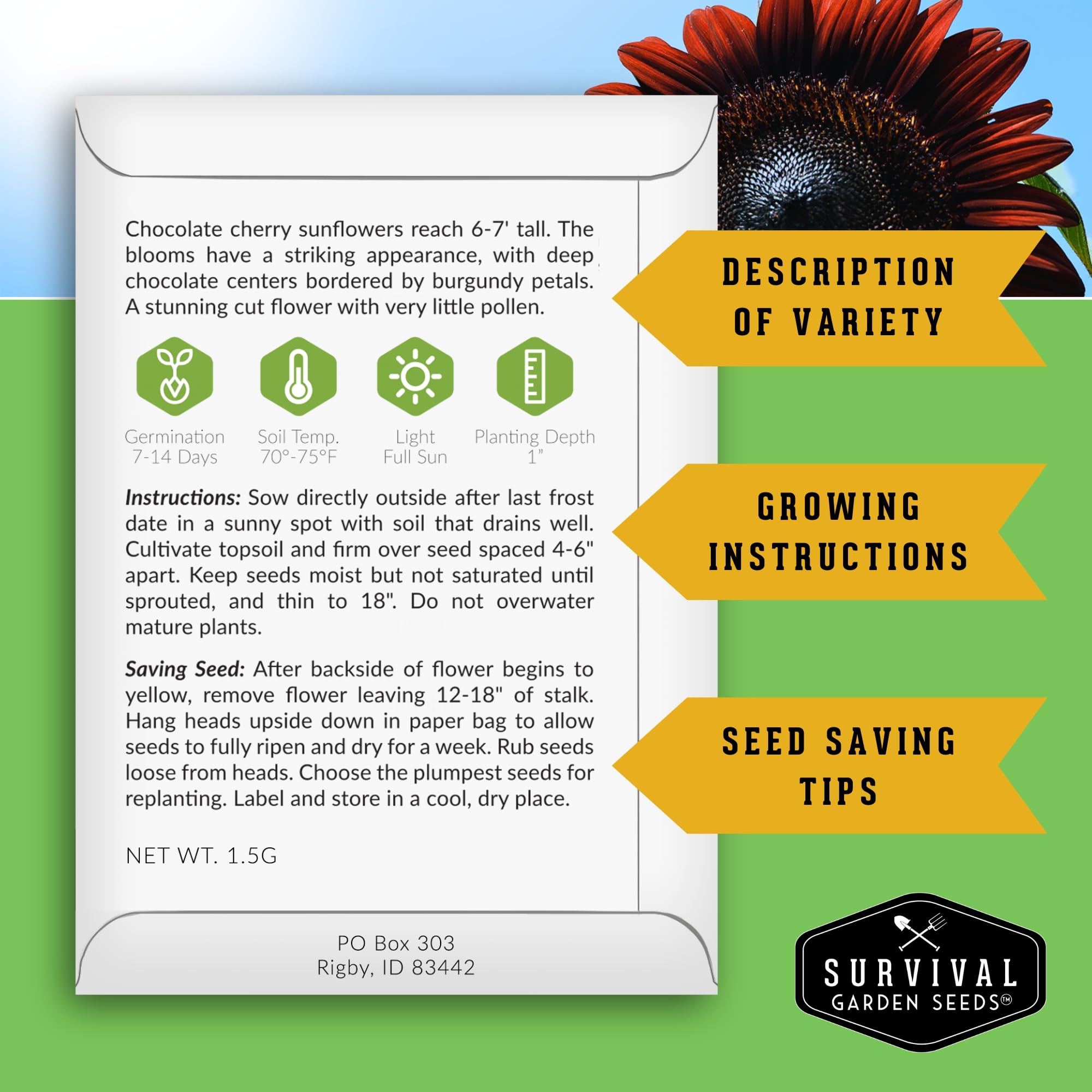 SURVIVAL GARDEN SEEDS detalle de flor burdeos con centro oscuro, impacto ornamental