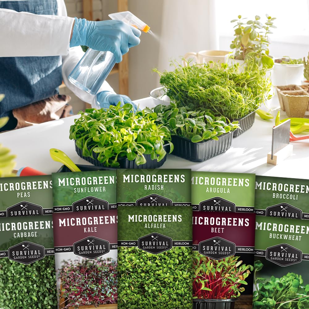 SURVIVAL GARDEN SEEDS microgreens en bandeja listos para cosechar rápido