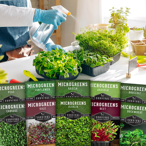 SURVIVAL GARDEN SEEDS microgreens en bandeja listos para cosechar rápido