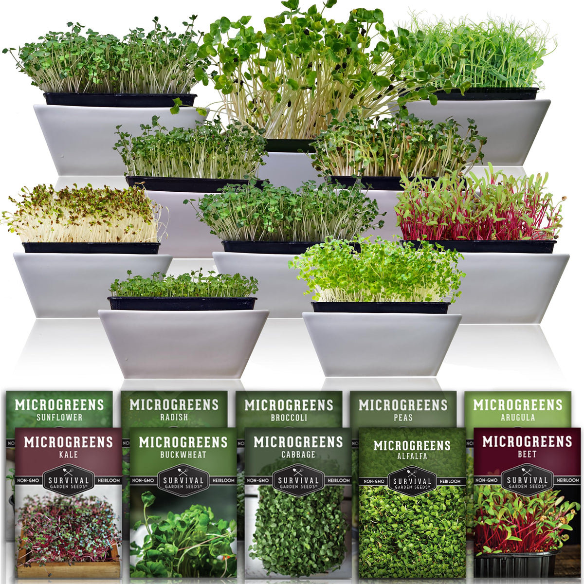 SURVIVAL GARDEN SEEDS empaque frontal mostrando 10 variedades y beneficios