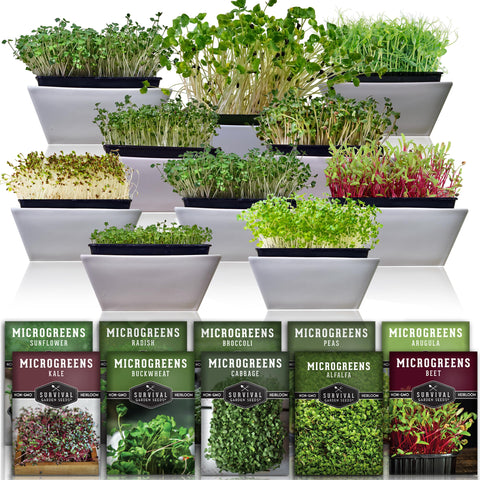 SURVIVAL GARDEN SEEDS empaque frontal mostrando 10 variedades y beneficios