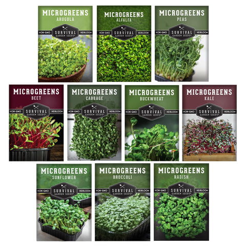 SURVIVAL GARDEN SEEDS semillas heirloom en primer plano para siembra fácil