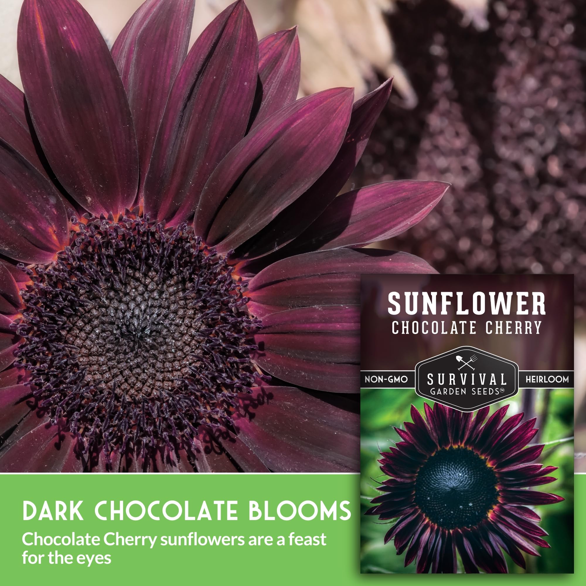 SURVIVAL GARDEN SEEDS tallos ramificados que muestran altura y estructura fuerte