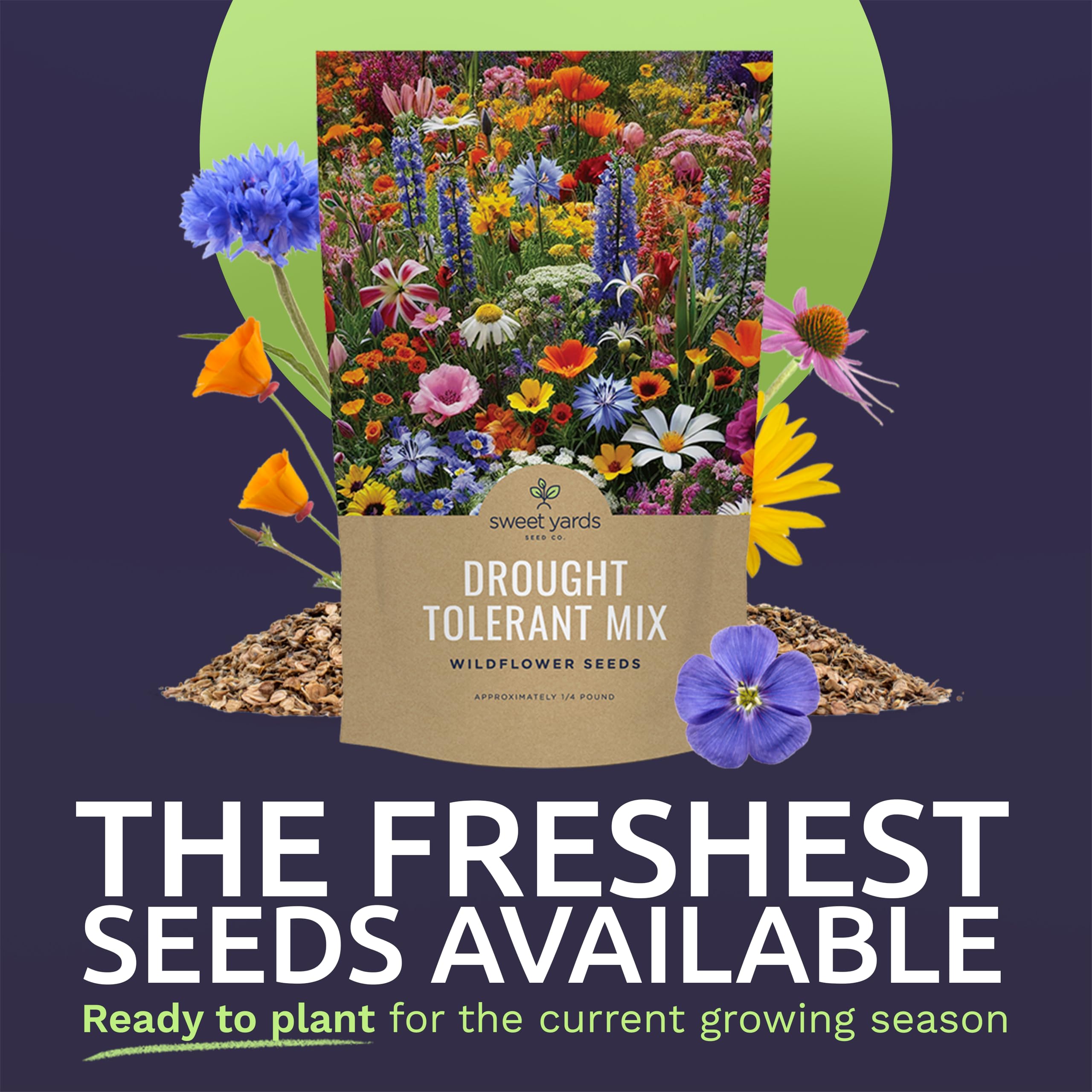 SWEET YARDS semillas variadas en primer plano que facilitan alta germinación