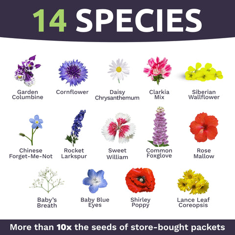 SWEET YARDS etiqueta con instrucciones de siembra y almacenamiento claro