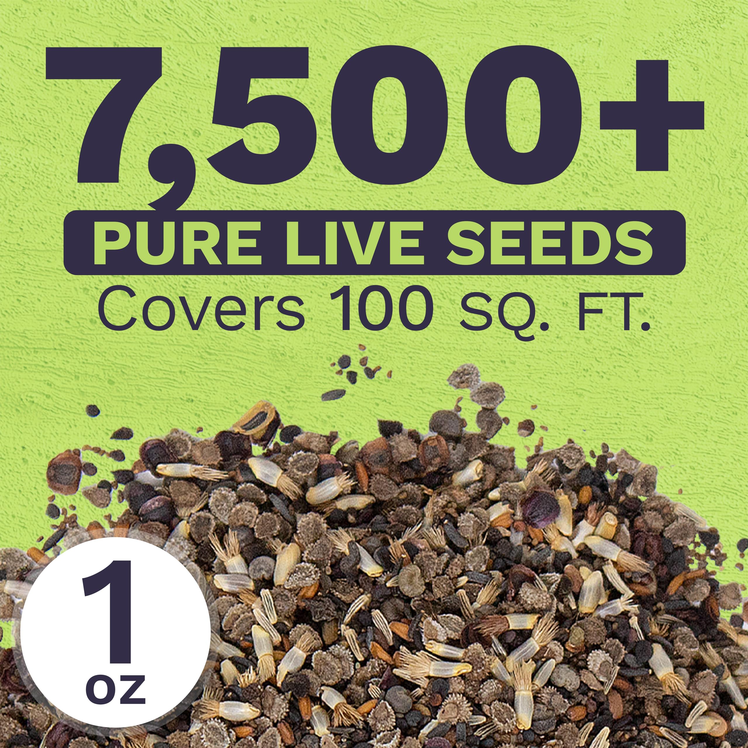 SWEET YARDS mano sosteniendo semillas para mostrar escala y cantidad