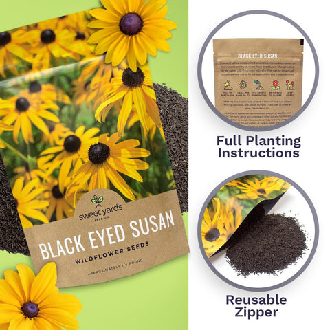 SWEET YARDS plantas Rudbeckia en flor que atraen polinizadores al jardín