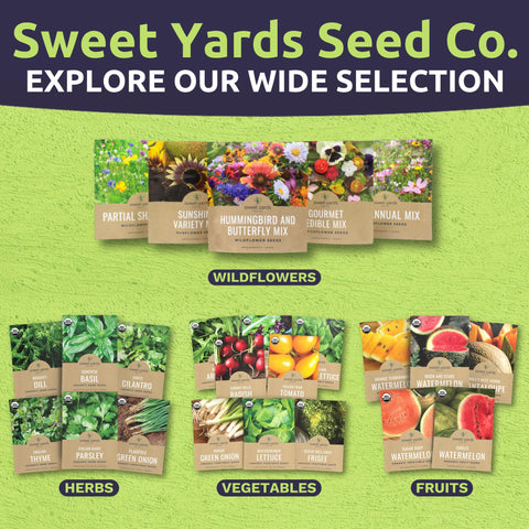 SWEET YARDS abeja y mariposa en flores que atraen polinizadores útiles