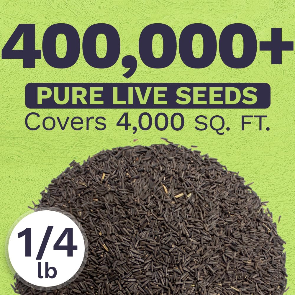 SWEET YARDS semillas en mano para comparar escala y facilidad de uso