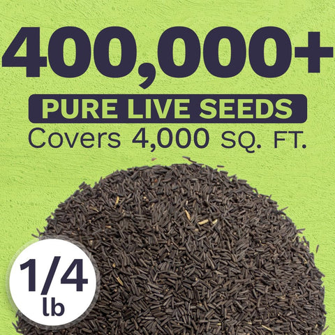 SWEET YARDS semillas en mano para comparar escala y facilidad de uso