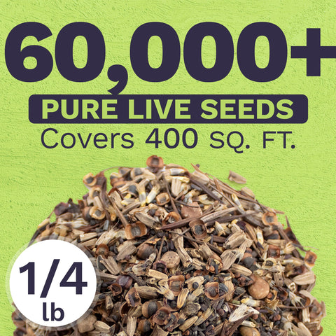 SWEET YARDS primer plano de semillas resaltando frescura y germinación