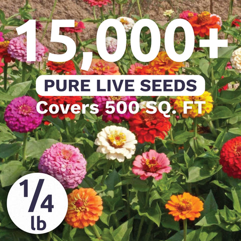 SWEET YARDS semillas de zinnia en mano para siembra abundante