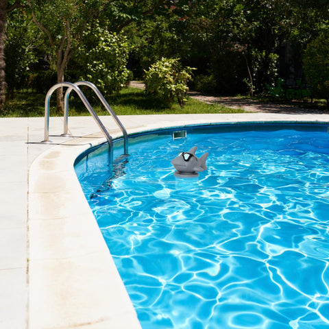 Swimline en jardín junto a piscina, solución práctica y estética