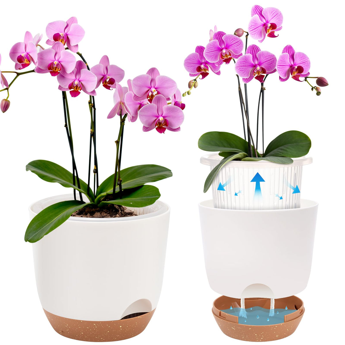 Sxueg maceta frontal blanca con diseño elegante y ahorro de riego