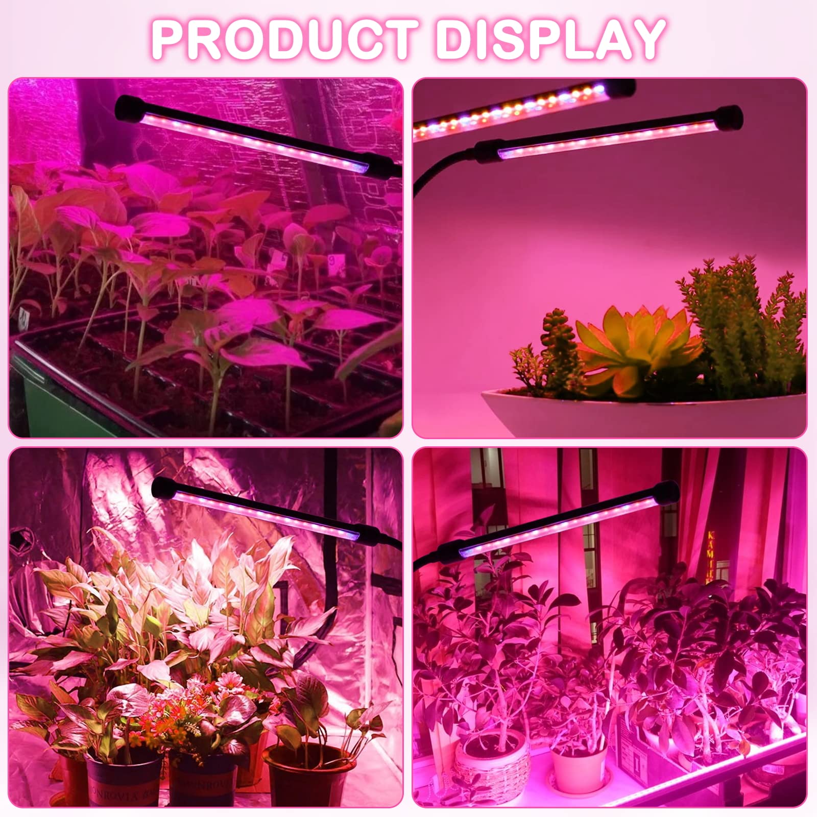 SYEIORAOM ambiente de cultivo urbano con plantas saludables y luz