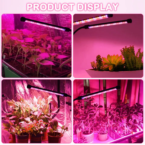 SYEIORAOM ambiente de cultivo urbano con plantas saludables y luz