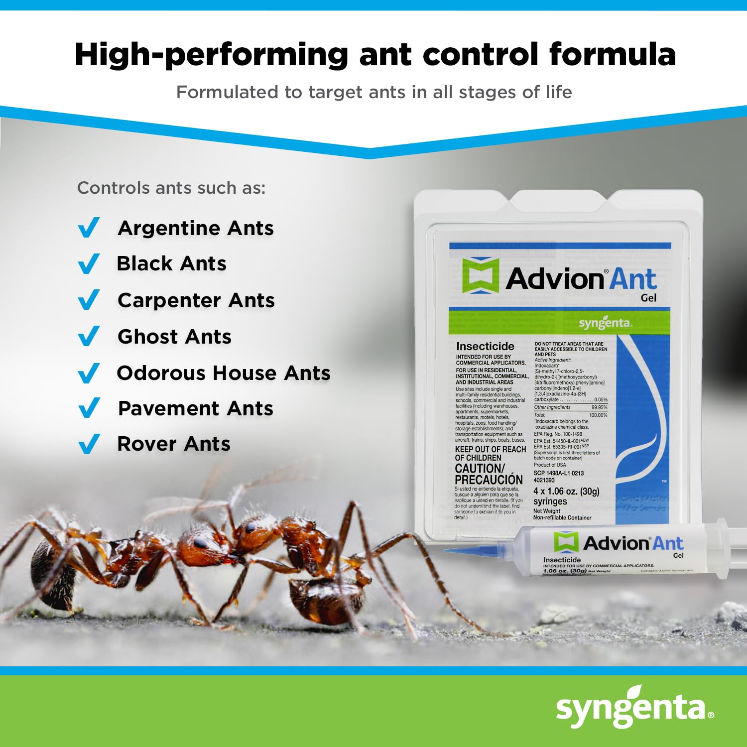 Syngenta Advion Ant Gel aplicado en zócalo para control dirigido de hormigas