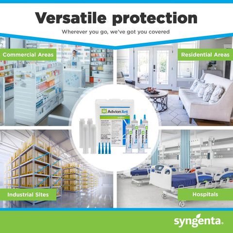 Syngenta Advion Ant Gel en cocina ilustrando uso interior seguro y eficaz