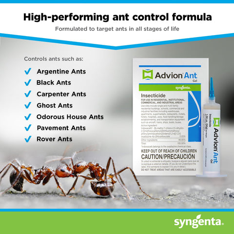Syngenta Advion ant gel aplicado en exterior en área protegida