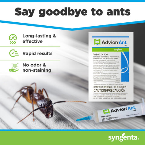 Syngenta Advion ant gel primer plano de la textura del gel atractivo
