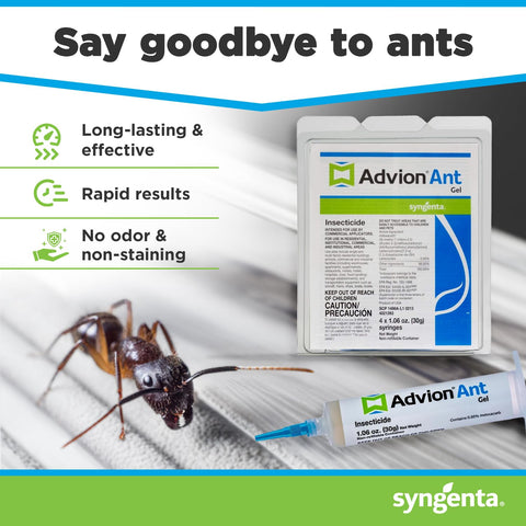 Syngenta Advion gel textura en jeringa cerca del aplicador, aplicación precisa