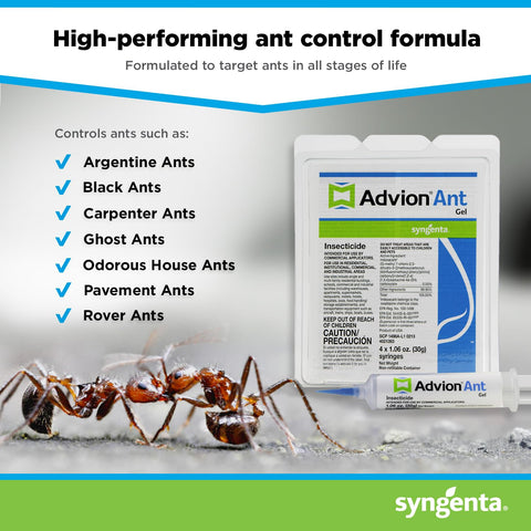 Syngenta Advion gel colocado detrás de electrodoméstico reduce actividad de hormigas