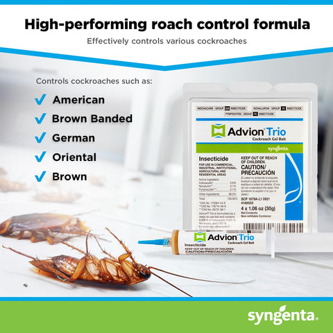 Syngenta gel colocado exterior junto a puerta para evitar entradas y reinfestación