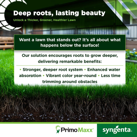 Syngenta Primo Maxx aplicación sobre césped profesional reduciendo trabajo