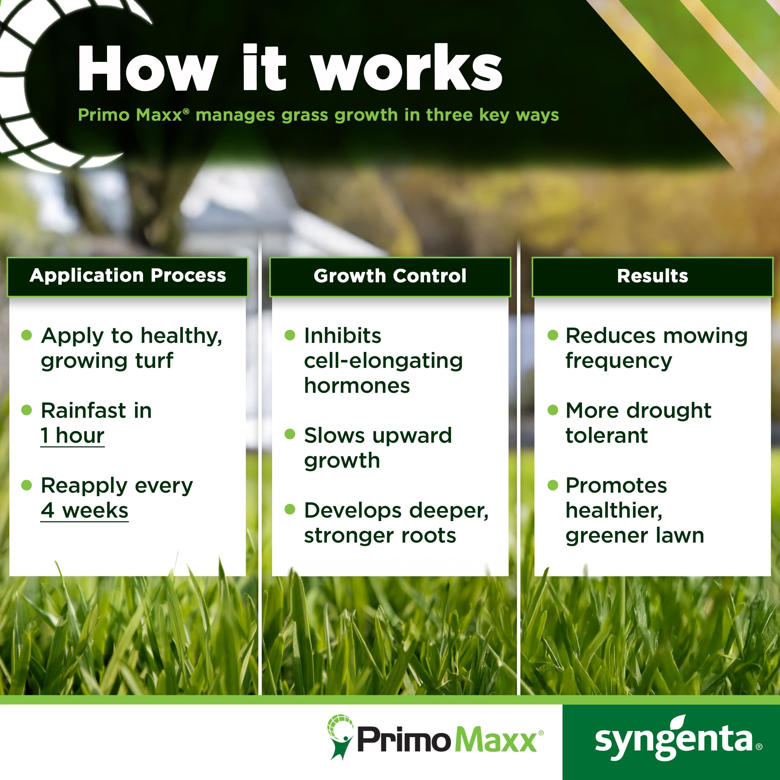 Syngenta Primo Maxx botella junto a regla para comparar tamaño y dosificación