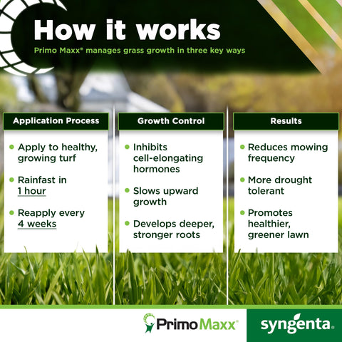 Syngenta Primo Maxx botella junto a regla para comparar tamaño y dosificación