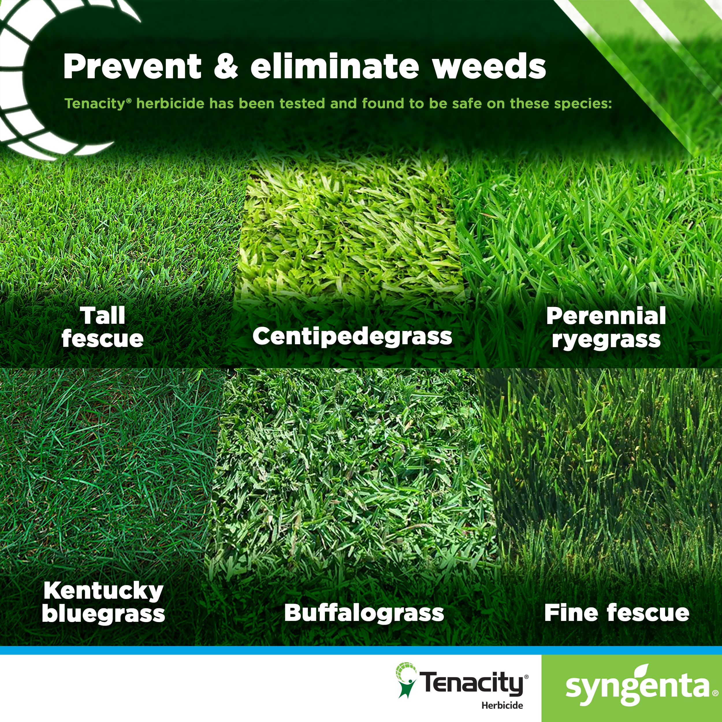 Syngenta Tenacity en aplicación sobre césped mostrando control localizado de malezas