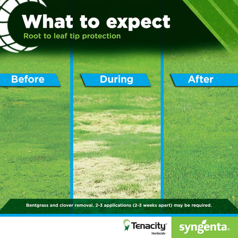 Syngenta Tenacity frasco guardado en estante para larga vida útil si se almacena bien