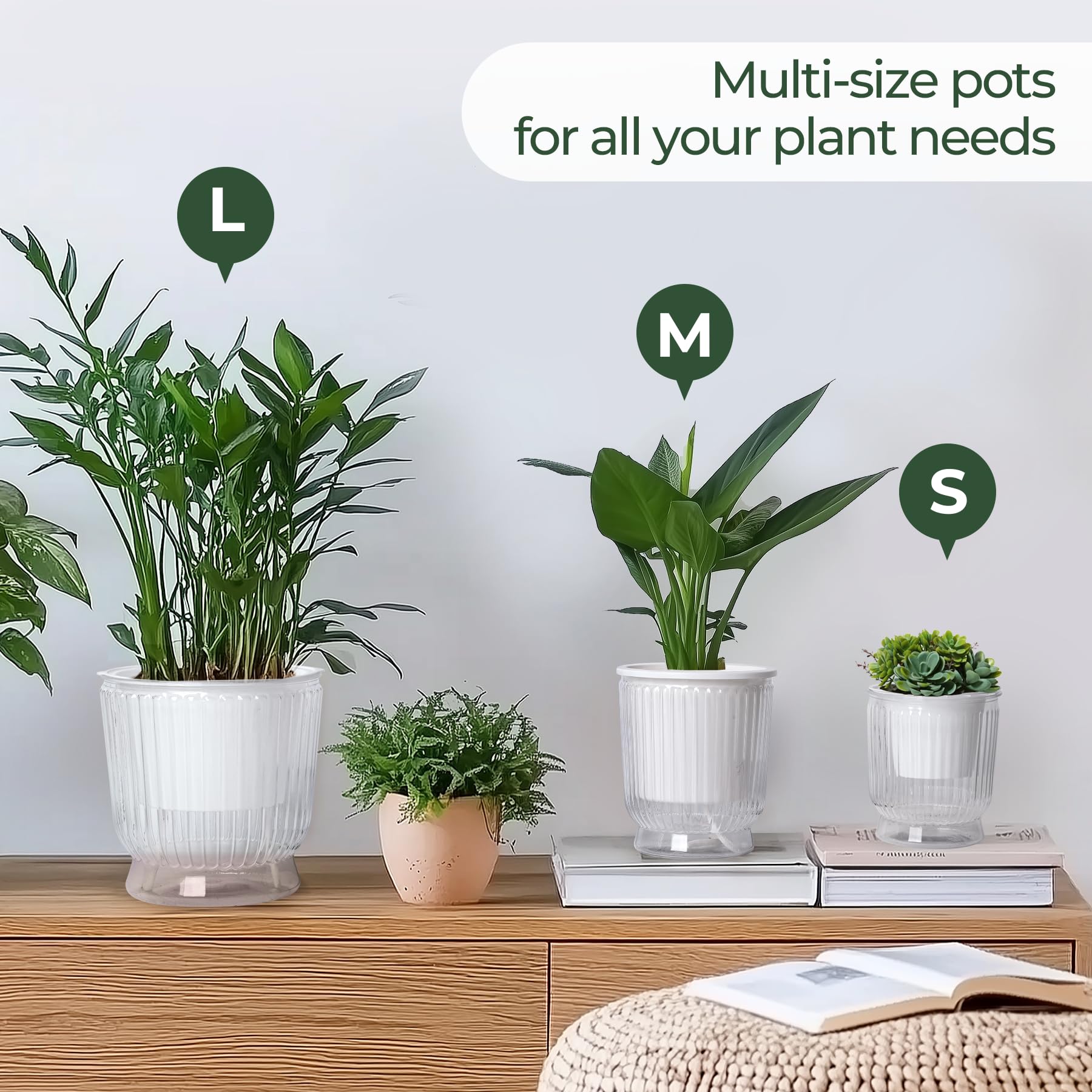 T4U macetas en ventana estilo vida para decorar y cuidar plantas interiores
