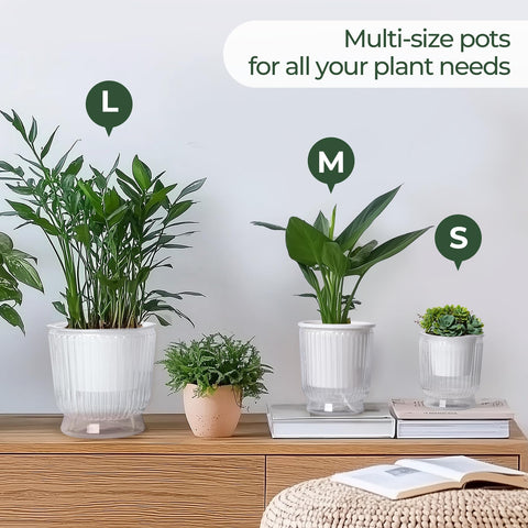 T4U macetas en ventana estilo vida para decorar y cuidar plantas interiores
