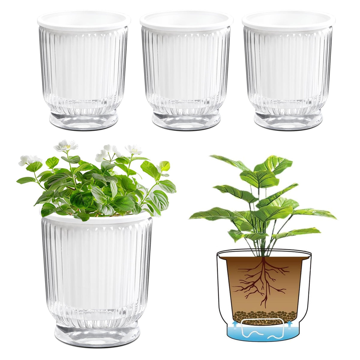 T4U frontal pack de 4 macetas transparentes con depósito visible y control fácil