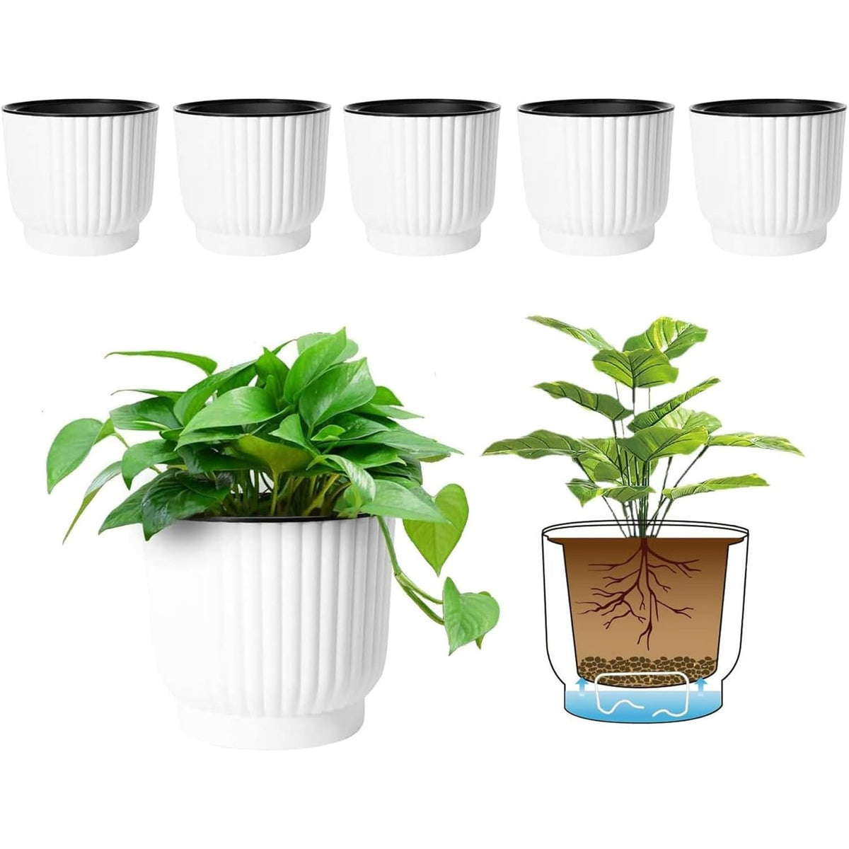 T4U maceta frontal pack de 6 mostrando diseño compacto y ahorro de riego