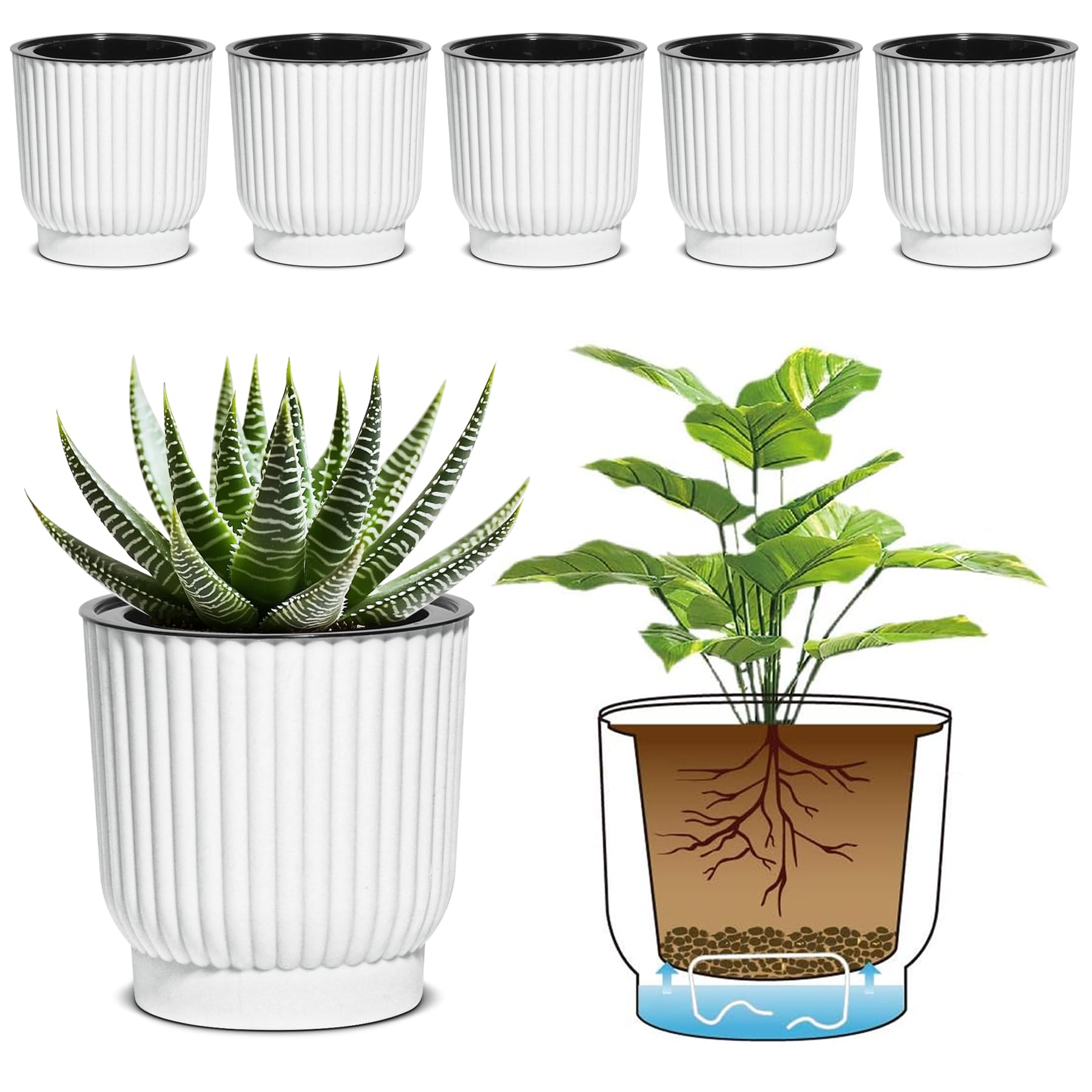 T4U maceta frontal pack de seis, diseño minimalista que ahorra tiempo