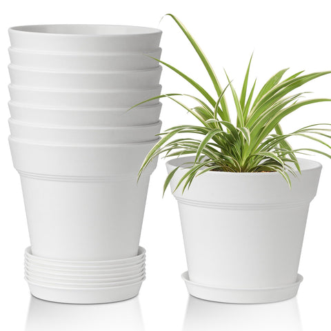 T4U maceta frontal del paquete blanco mostrando diseño minimalista y beneficio estético