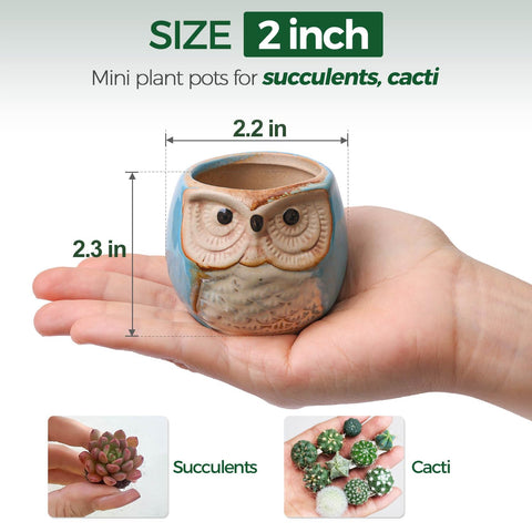 T4U seis macetas juntas ideal para colección y regalo coordinado