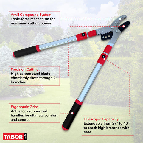 TABOR TOOLS poda en altura desde el suelo para mayor seguridad y alcance