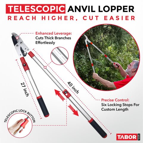 TABOR TOOLS primer plano de la hoja de acero carbono mostrando filo duradero