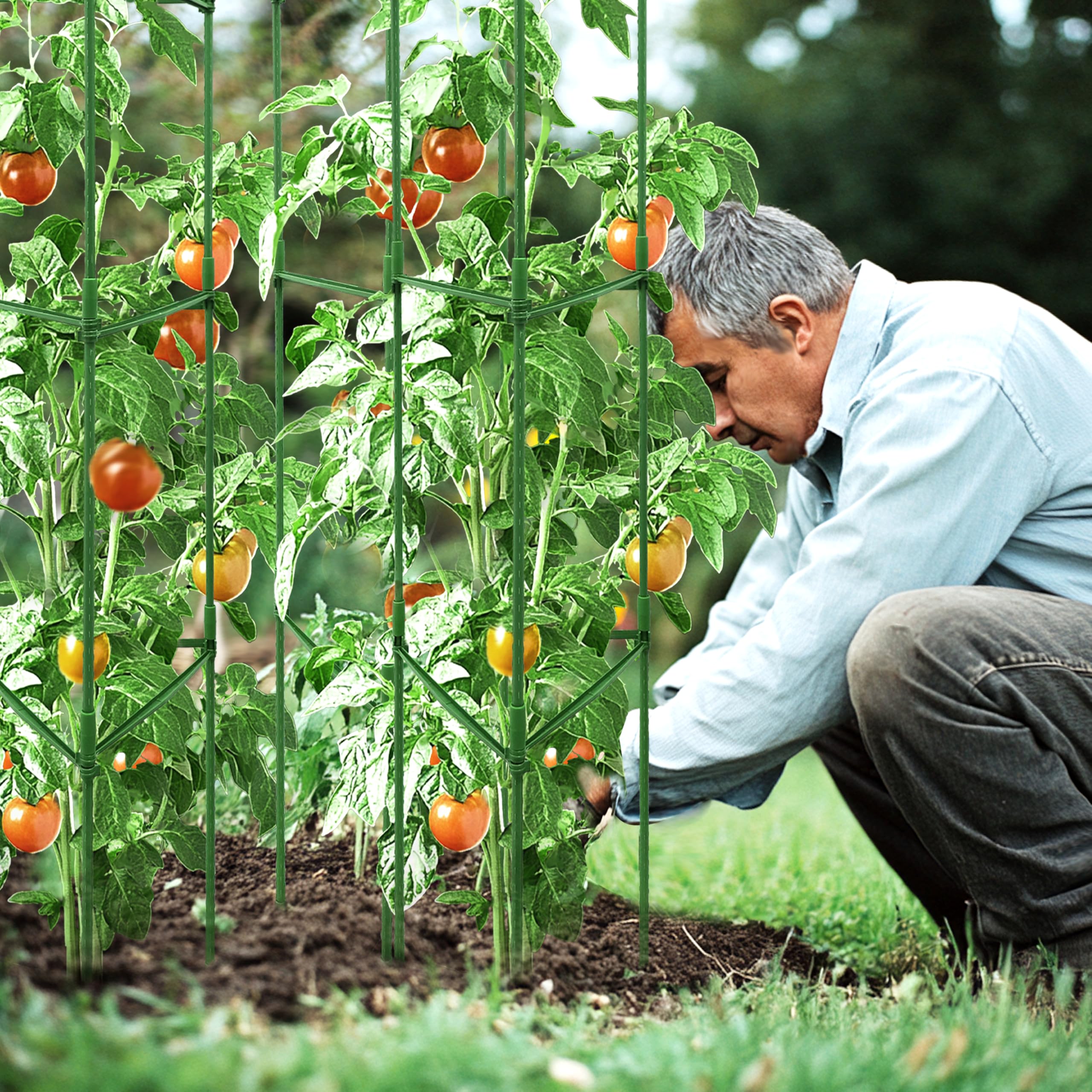TCBWFY plantas en jardín sostenidas por jaulas para cosechas limpias