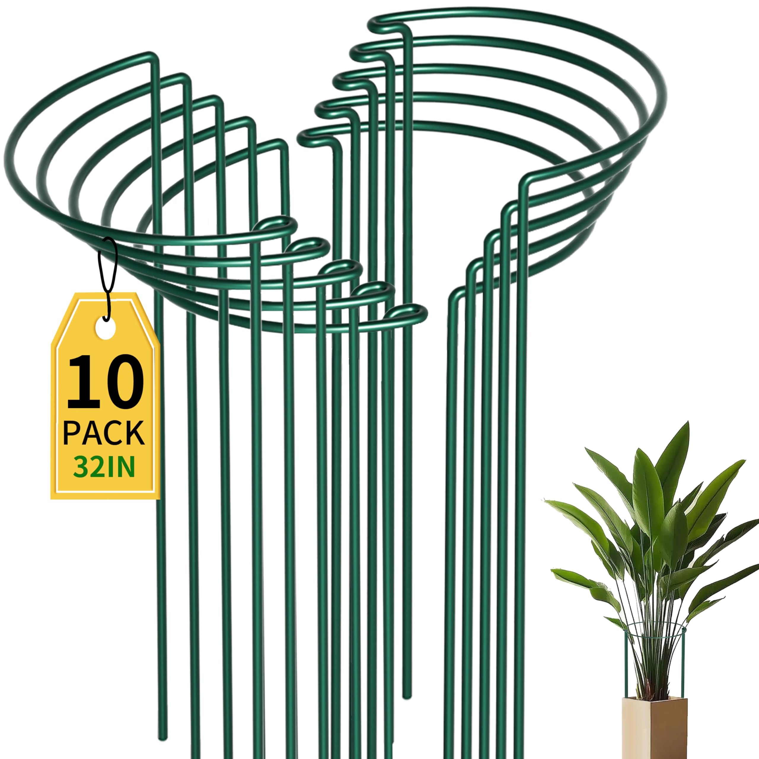 TCBWFY frontal del empaque mostrando 10 soportes y beneficio de cantidad