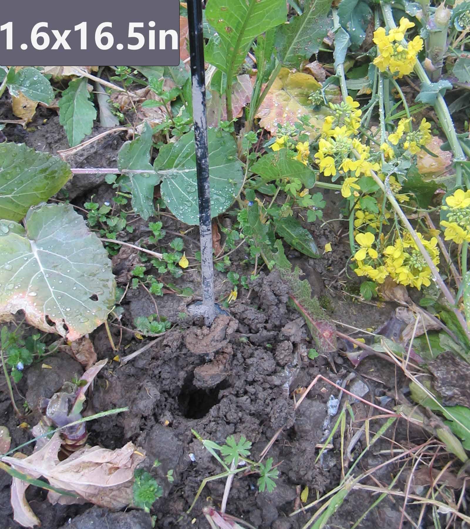 TCBWFY hoyo limpio hecho por la broca que facilita la plantación