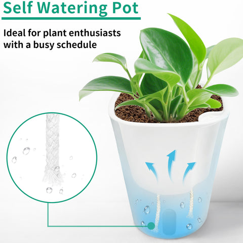TCBWFY maceta en uso con hierbas en cocina, comodidad para cultivo casero
