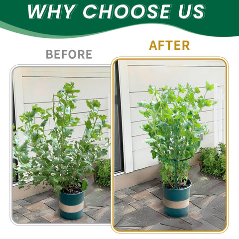 TCBWFY soporte en uso con peonía, sujeta flores pesadas y evita caída